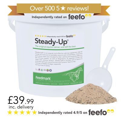 Steady- Up tub